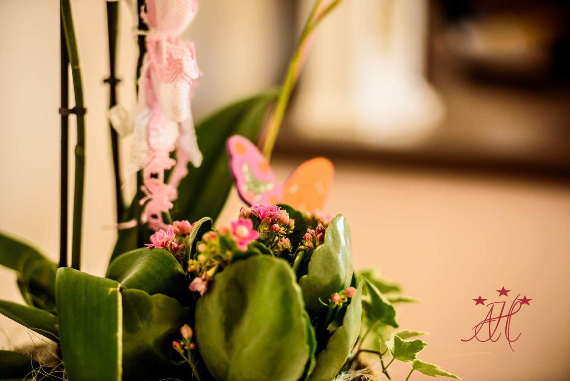 Alexander House Hotell Deva Rom bilde